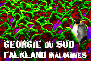 EN COURS DE DEVELOPPEMENT (M.E.S. dbut mars 2009)