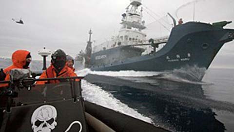 SeaShepherd