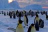 Couleurs de la nuit antarctique